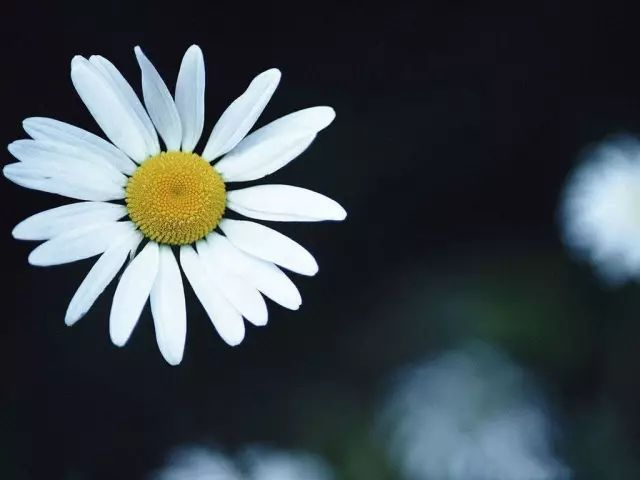 1675488028188577.png 圖片 8.png